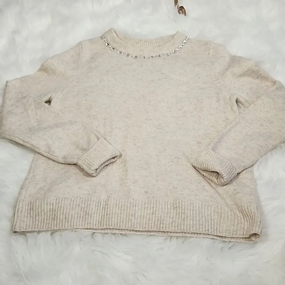 Rhinestone Crew Neckline Sweater